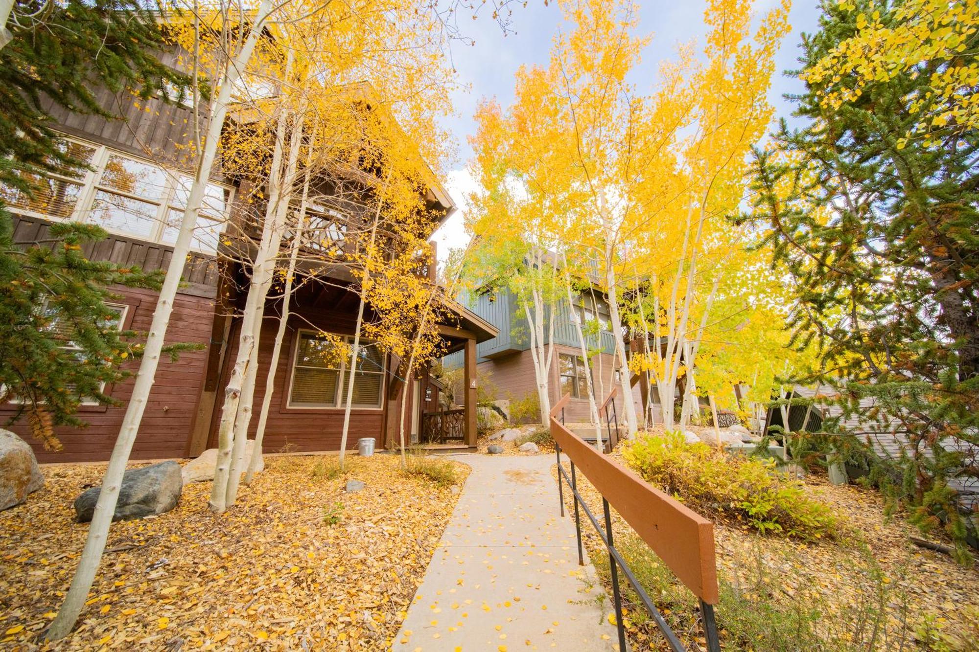 Cabin In The Pines 4 By Summitcove Lodging Keystone Luaran gambar